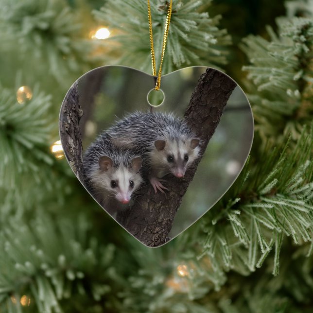 Double Trouble in the Canopy: Twin Possums Ceramic Ornament (Tree)