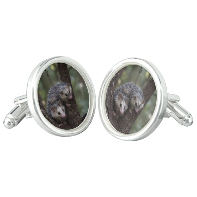Double Trouble in the Canopy: Twin Possums Cufflinks (Angled)
