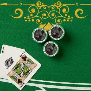Double Trouble in the Canopy: Twin Possums Poker Chips