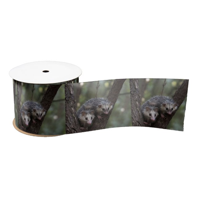 Double Trouble in the Canopy: Twin Possums Satin Ribbon (Spool)