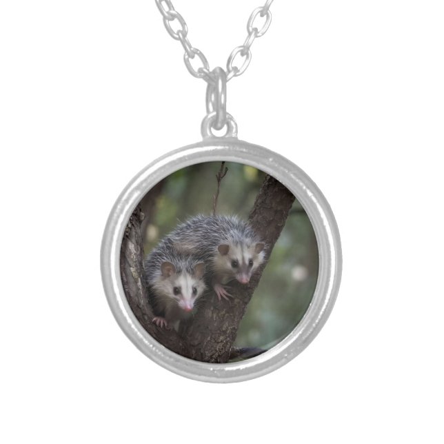 Double Trouble in the Canopy: Twin Possums Silver Plated Necklace (Front)