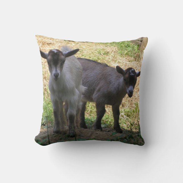 Double Trouble! Throw Pillow (Front)