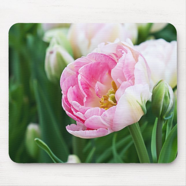 Double Tulips Mouse Pad (Front)