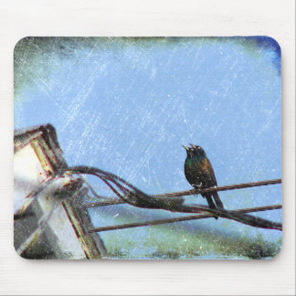 Double Vision Mouse Pad