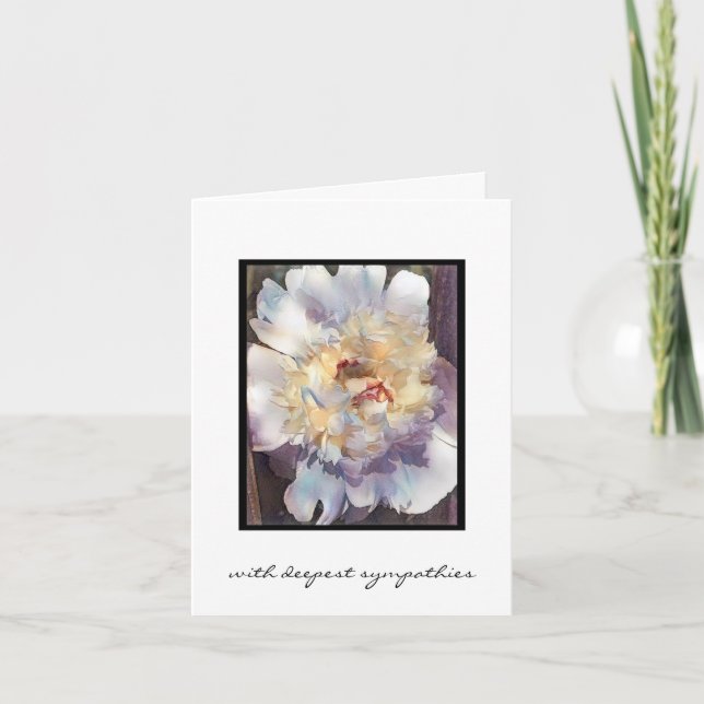 Double white Peony with pink edges Sympathy Card (Front)