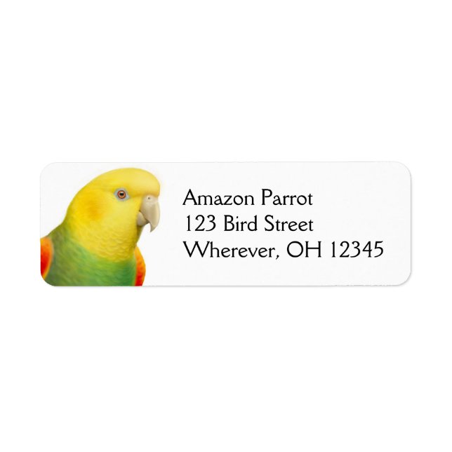 Double Yellow Headed Amazon Face Label (Front)