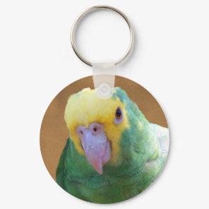 Double Yellow Headed Amazon Keychain