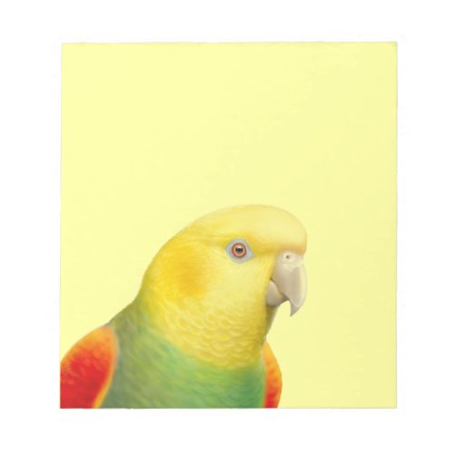 Double Yellow Headed Amazon Parrot Notepad