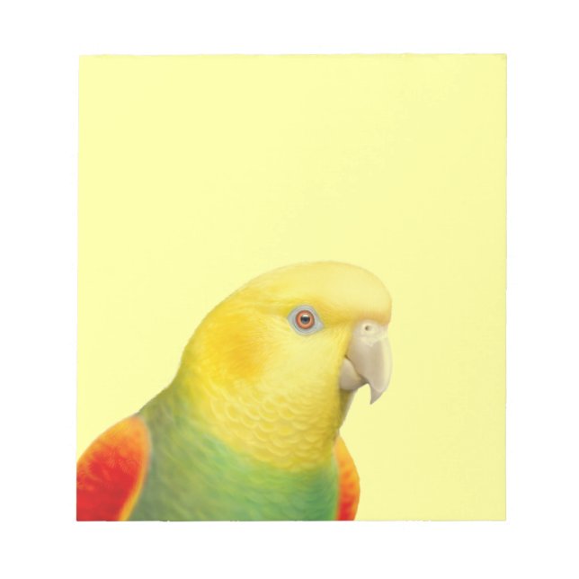 Double Yellow Headed Amazon Parrot Notepad (Front)