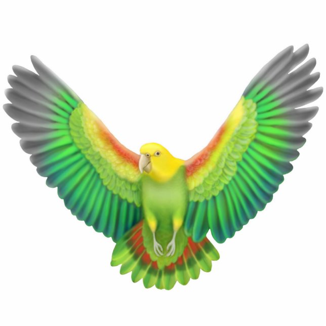 Double Yellow Headed Amazon Parrot Ornament (Front)