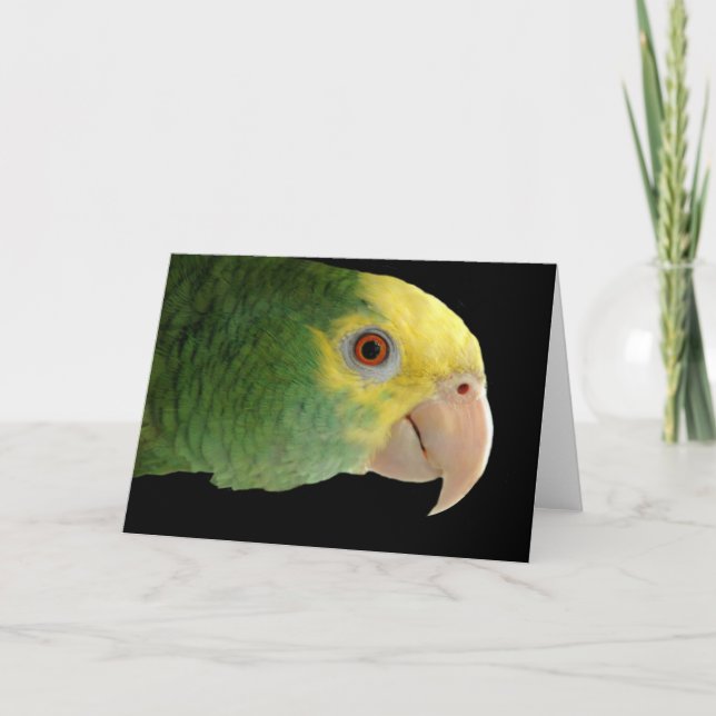 Double Yellowhead Amazon Note Card (Front)