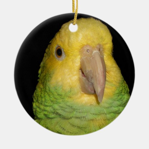 Double Yellowhead Amazon Parrot Ceramic Ornament