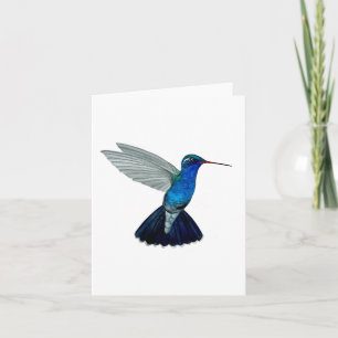 Doubleday's hummingbird card