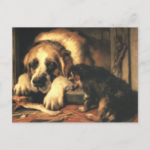 Doubtful Crumbs Postcard