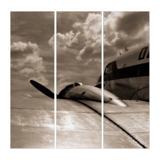 Douglas DC-3 Aircraft Triptych