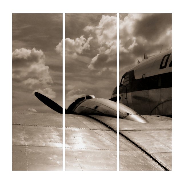Douglas DC-3 Aircraft Triptych (Front)