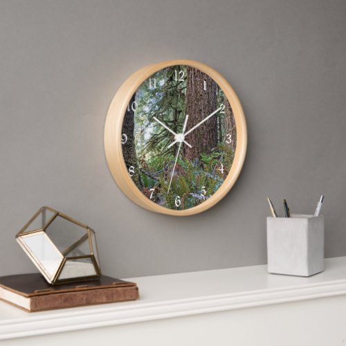 Douglas Fir Conifer Forest Clock