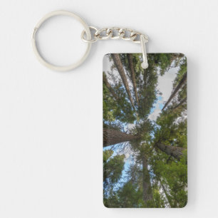 Douglas Fir tree canopy Keychain