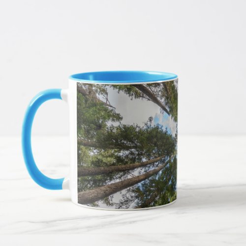 Douglas Fir tree canopy Mug