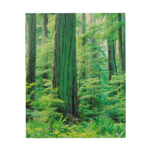 Douglas Fir tree Wood Wall Decor