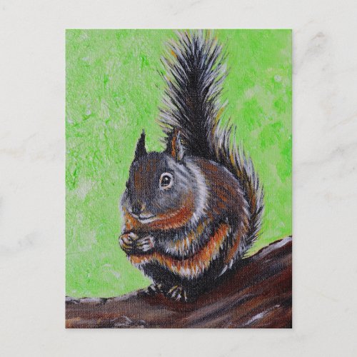 Douglas Squirrel Painting 2 Postcard