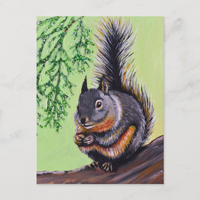 Douglas Squirrel Painting Postcard (Front)