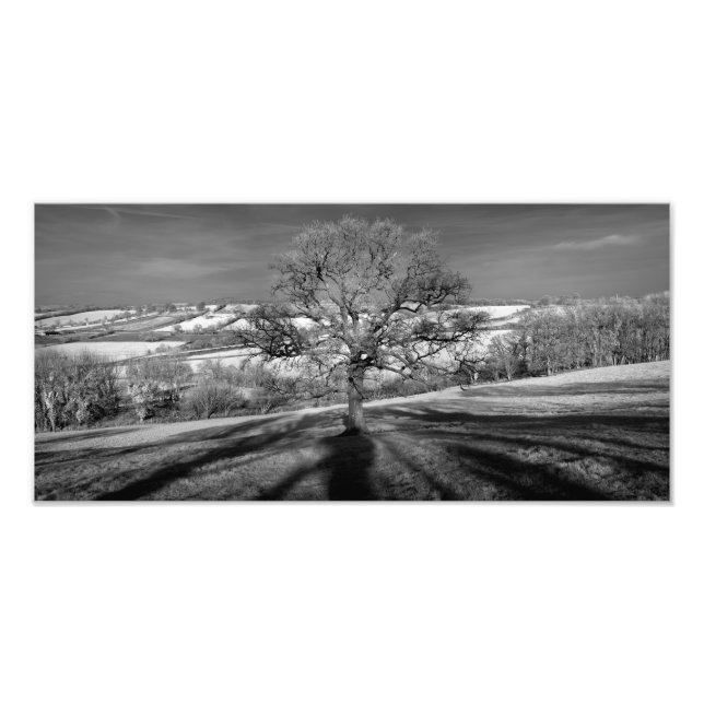 Doulting Hill Panorama Photo Print (Front)