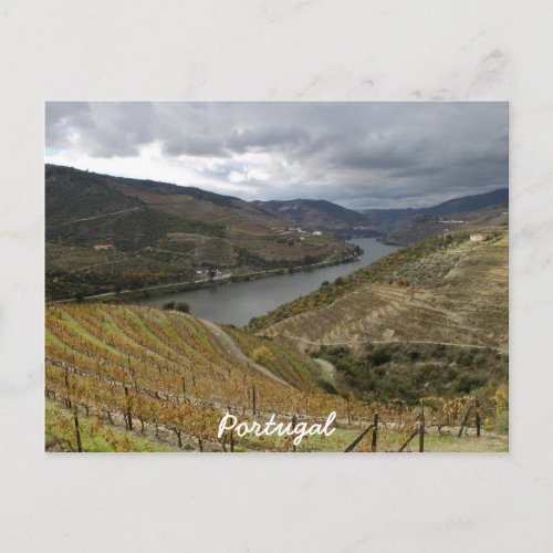 Douro Postcard