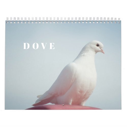 Dove and Pigeons Birds Photography Calendar