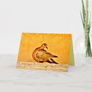 Dove Beauty Card