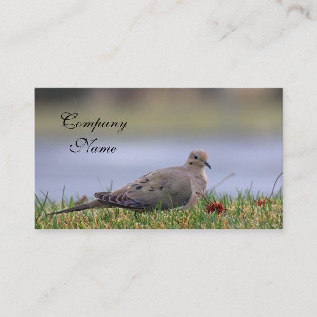Dove Bird Business Card (Front)