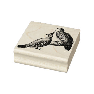 dove birds wildlife animals nature illustration rubber stamp