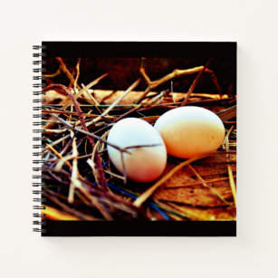Dove Eggs Notebook