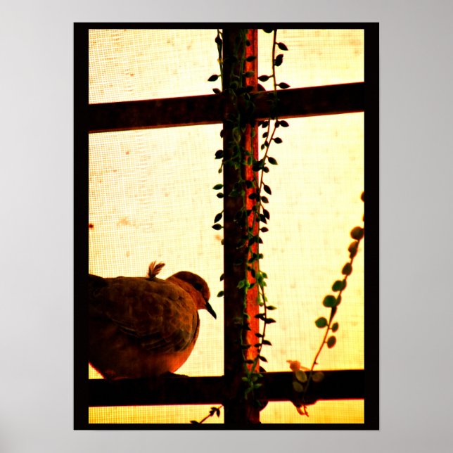 Dove in a Dust Storm Poster (Front)