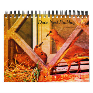 Dove Nest Building Calendar