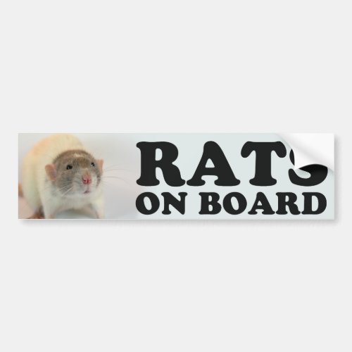 Dove Rats on Board Bumper Sticker