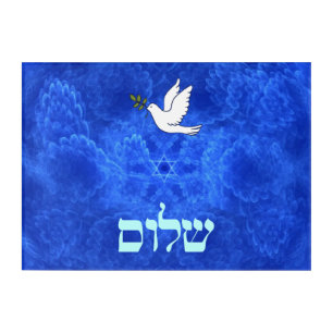 Dove - Shalom Fractal Acrylic Print