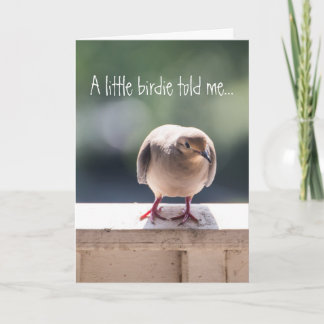 Dove Surprise Congratulations Greeting Card
