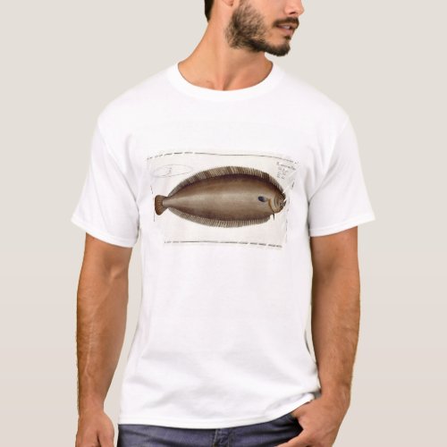 Dover Sole Solea Solaea plate XLV from Ichthyol T_Shirt