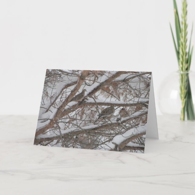 Doves In Snowy Pine Card (Front)