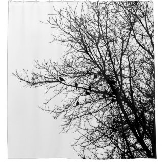 Doves in Tree Monochrome High Contrast Minimalist Shower Curtain
