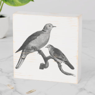 Doves On Branch Vintage Art Wooden Box Sign