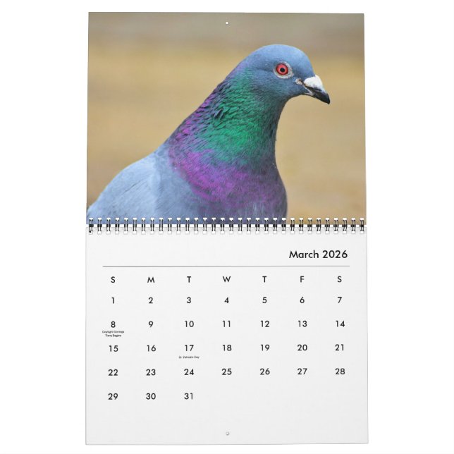 Doves Peace Pigeons Elegant Pretty Birds Photos Calendar (Mar 2026)