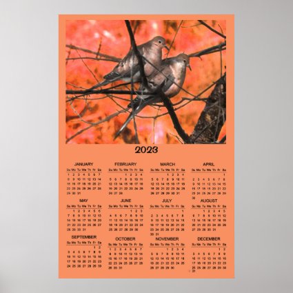 Doves with Orange Sunset 2023 Animal Calendar
