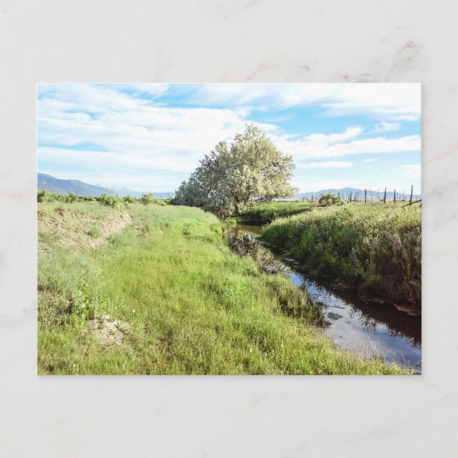 Down By the Creek Postcard (Front)