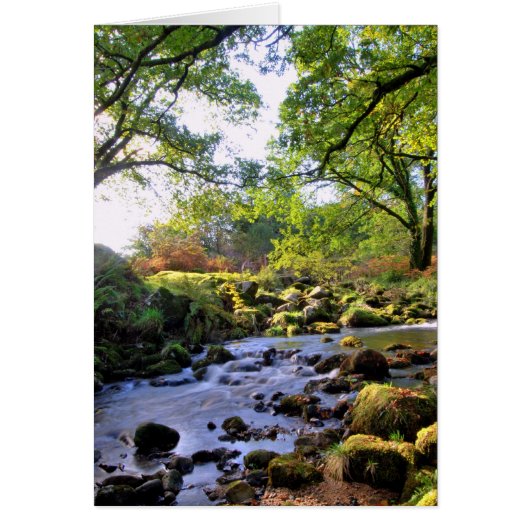 'Down By The River' Cards (Front)