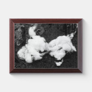 down fluffy award plaque