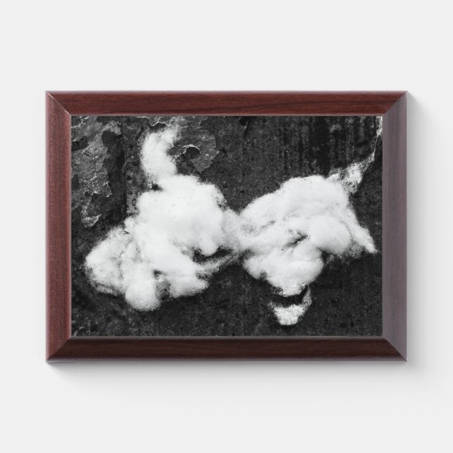 down fluffy award plaque (Horizontal)
