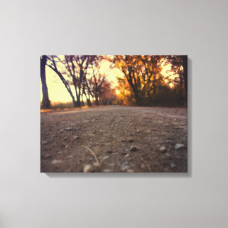 down in the dirt canvas print