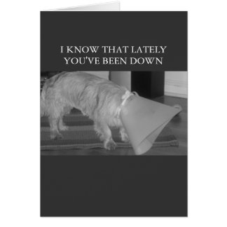 down in the dumps cards